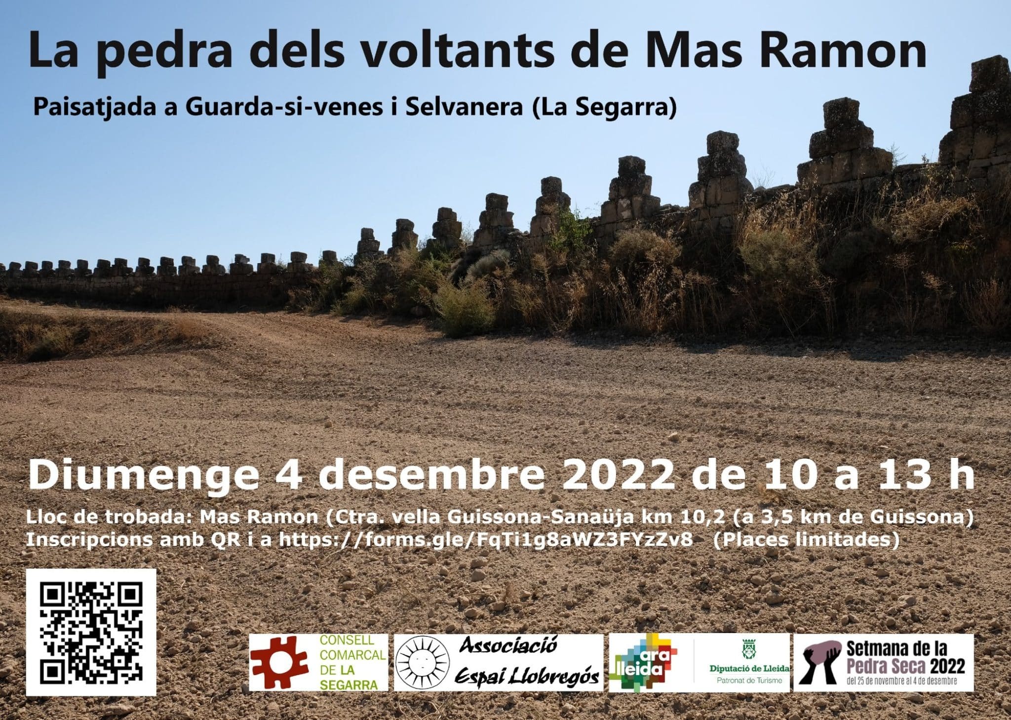 La pedra dels voltants de Mas Ramon