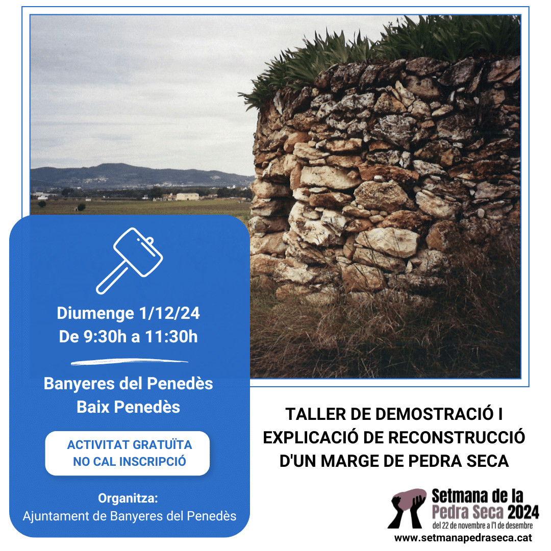 Taller de demostració i explicació de reconstrucció d'un marge de pedra seca