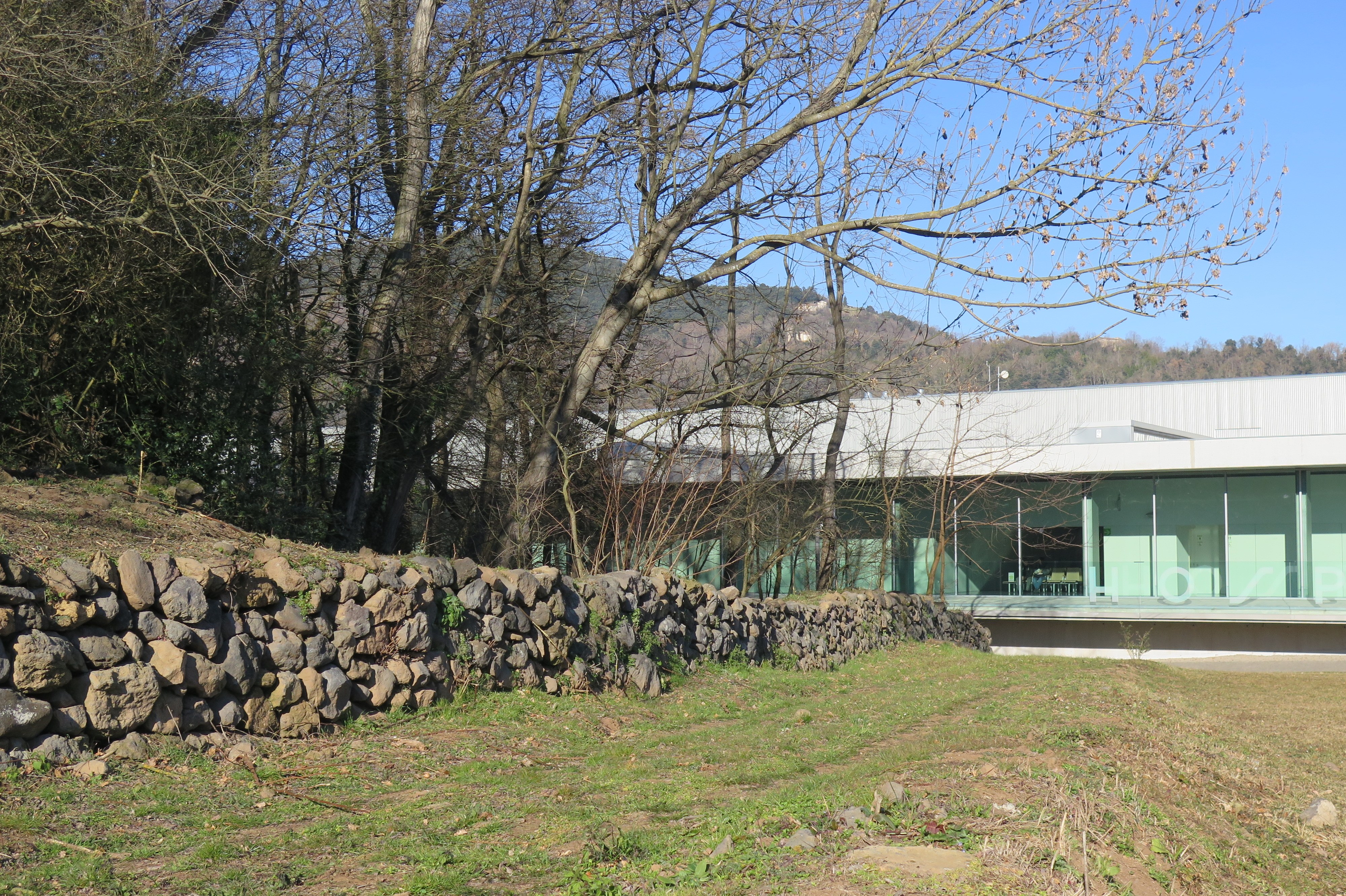 Jornada de voluntariat al bosquet de l'Hospital d'Olot