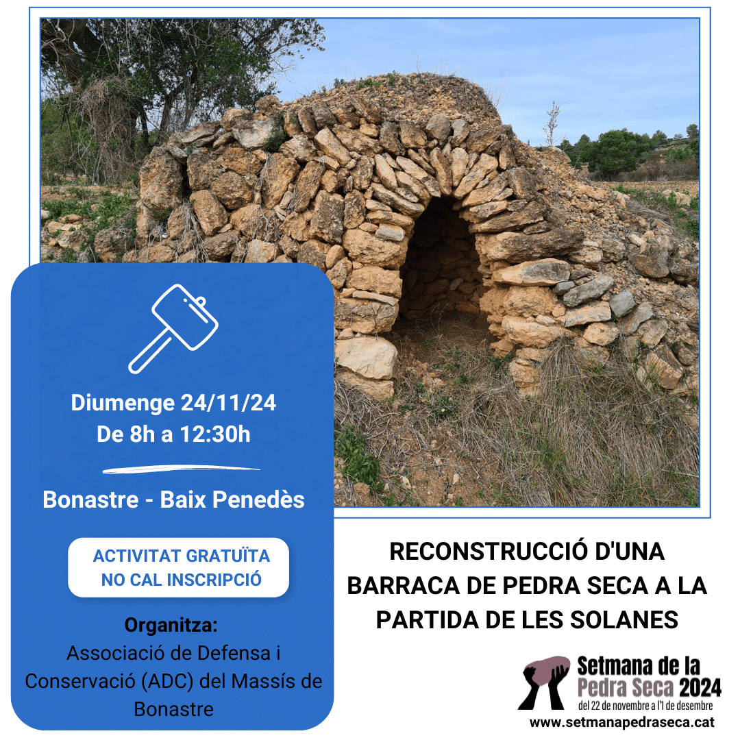 Reconstrucció d'una barraca de Pedra Seca a la Partida de Les Solanes