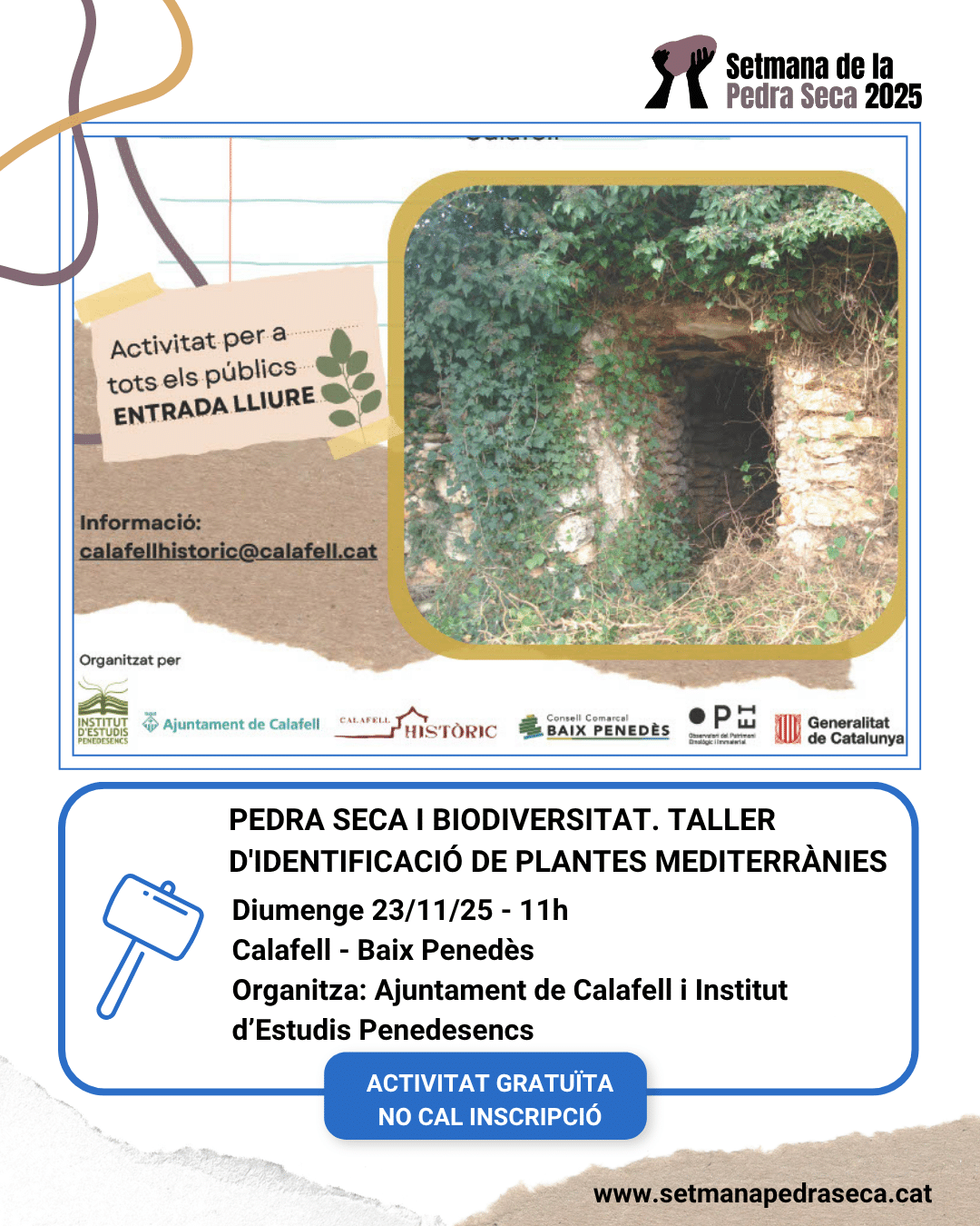 Pedra seca i biodiversitat. Taller d'identificació de plantes mediterrànies.