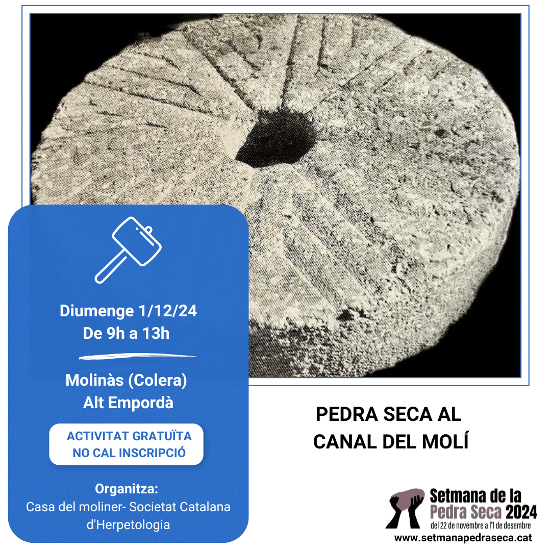 Pedra seca al canal del Molí