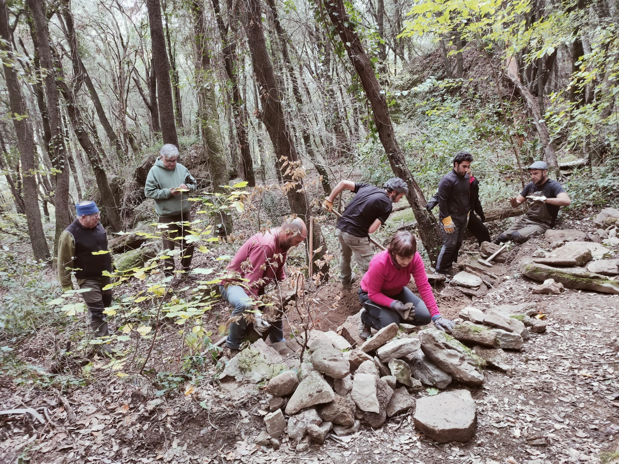 Jornada de restauració de les parets seques del bosc del Glascà